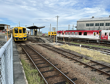 �����S�� �����D�Éw