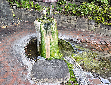 �����S�� �����`�w