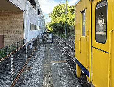 �����S�� �����`�w