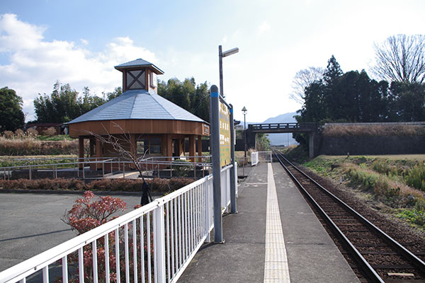 �숢�h���̐��܂�闢���������w