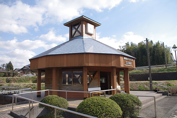 �숢�h���̐��܂�闢���������w