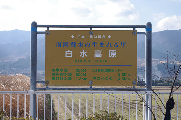 �숢�h���̐��܂�闢���������w