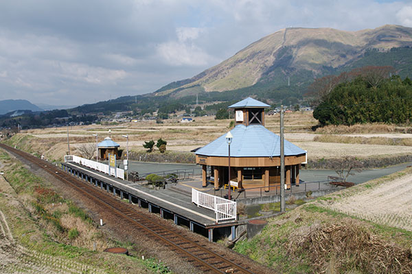 �숢�h���̐��܂�闢���������w